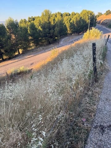 Undeveloped Land for sale in Antequera - € 90,000 (Ref: 9981788)