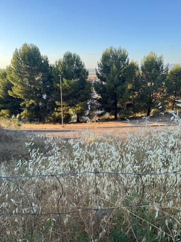 Undeveloped Land for sale in Antequera - € 90,000 (Ref: 9981788)