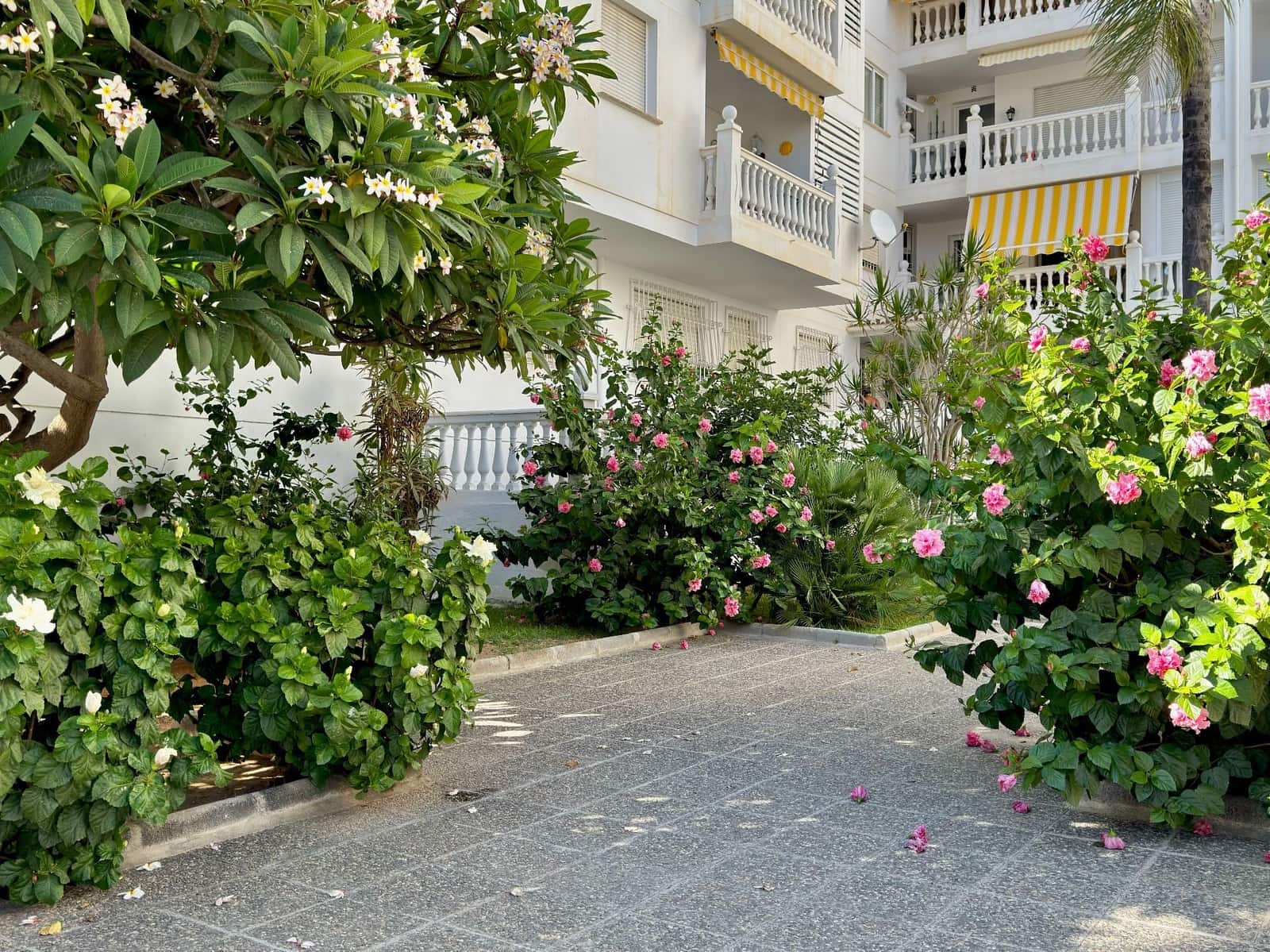 2 chambre Appartement à vendre à Almunecar avec garage - 298 000 € (Ref: 10038647)