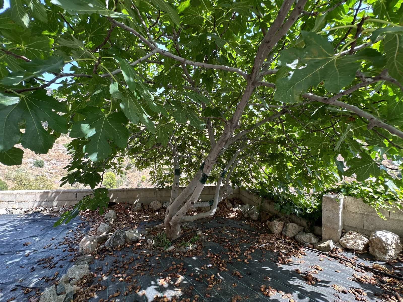 4 camera da letto Villa in vendita in Almunecar con piscina garage - 650.000 € (Rif: 10150215)