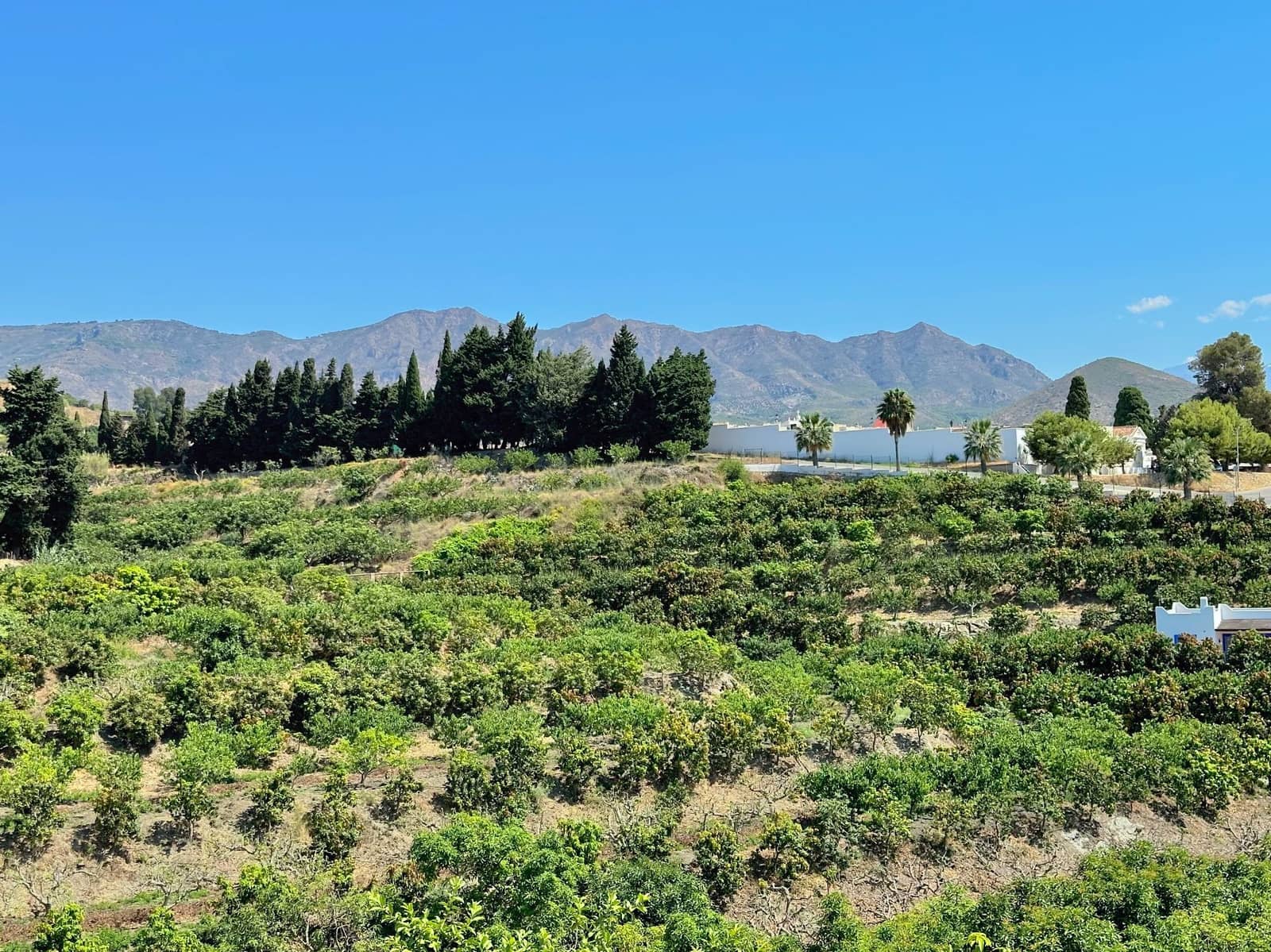 1 quarto Quinta/Casa Rural para venda em Salobrena com piscina garagem - 449 500 € (Ref: 10153295)