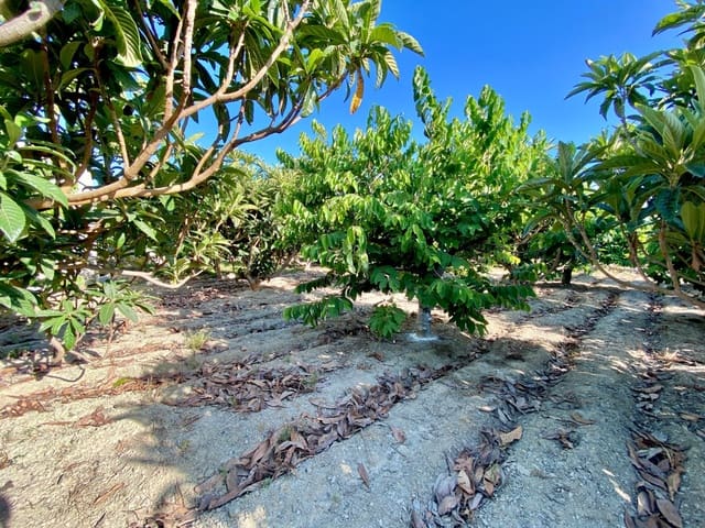 3 soveværelse Villa til salg i Salobreña med swimmingpool garage - € 950.000 (Ref: 6239258)