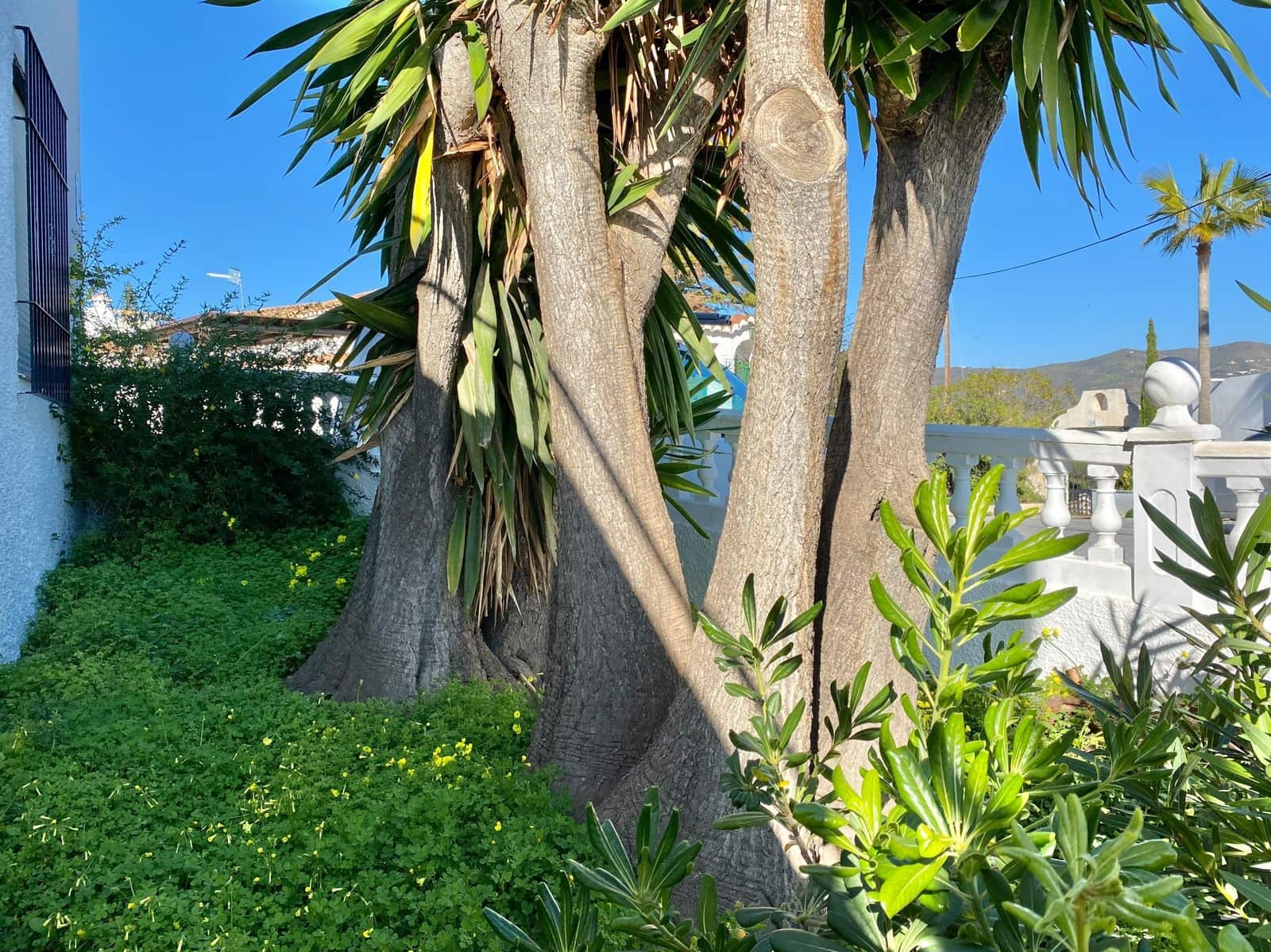 2 soveværelse Lejlighed til salg i Almunecar - € 215.000 (Ref: 8795568)