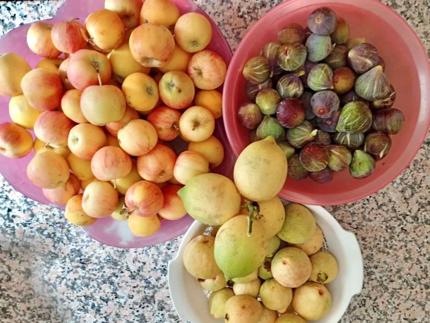 2 soveværelse Finca/Landehus til salg i Otivar med swimmingpool garage - € 214.000 (Ref: 9304868)