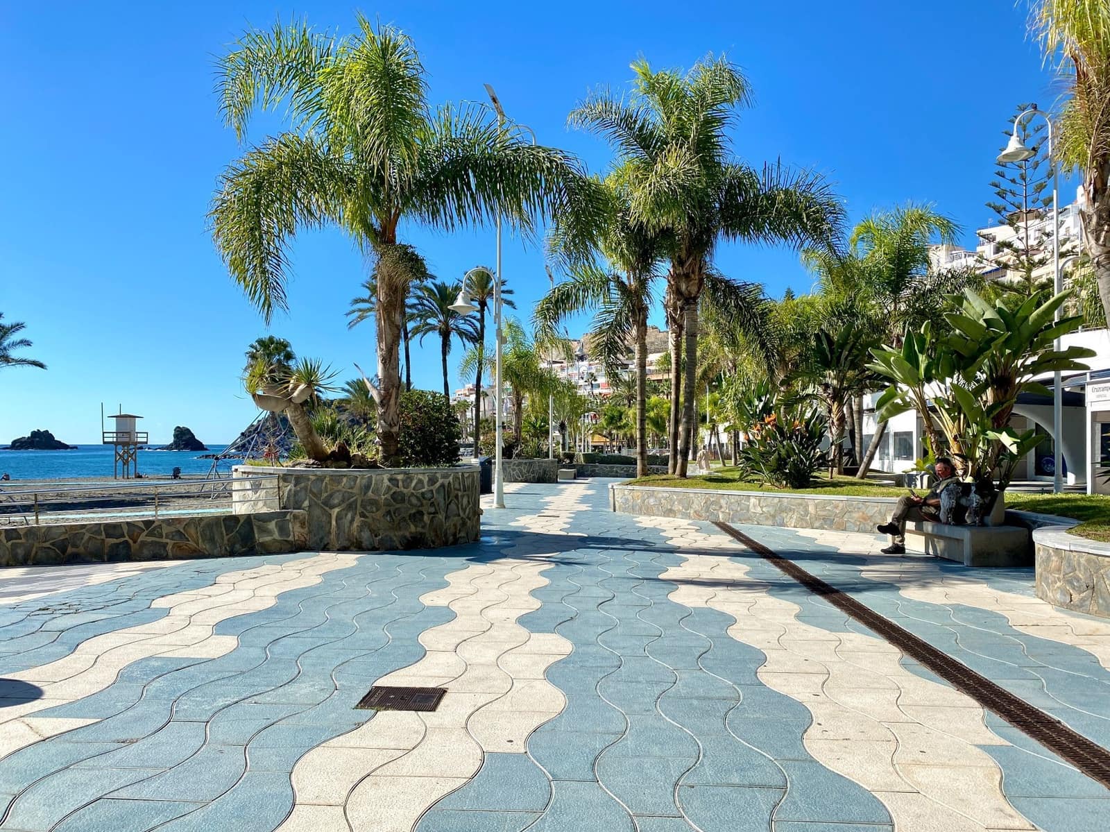 3 soveværelse Lejlighed til leje i Almunecar - € 1.300 (Ref: 9413566)