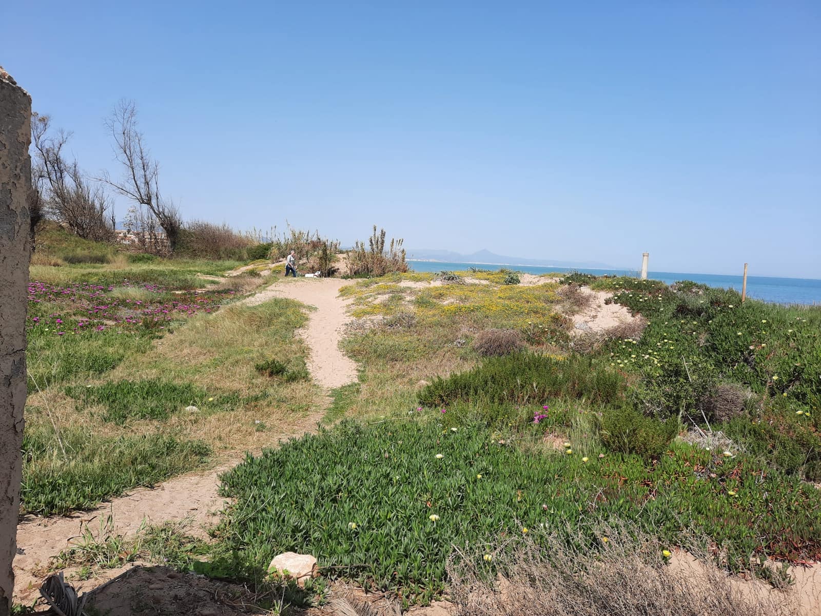 2 soverom Strandleiligheter til salgs i Denia med svømmebasseng - € 359 000 (Ref: 7785799)