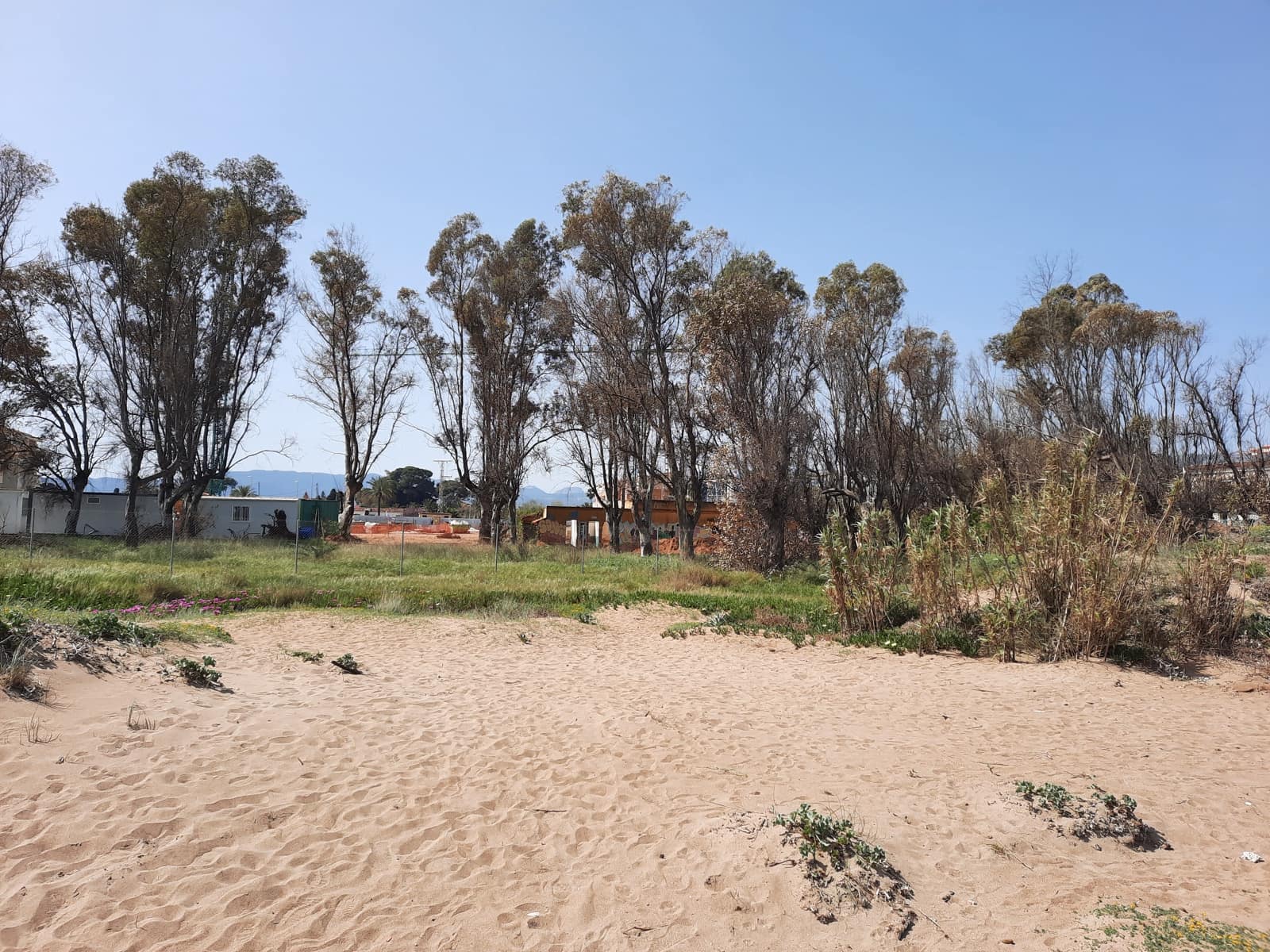 2 soverom Strandleiligheter til salgs i Denia med svømmebasseng - € 359 000 (Ref: 7785799)