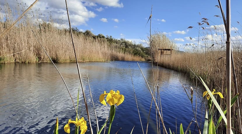 3 bedroom Townhouse for sale in Denia with pool garage - € 410,000 (Ref: 8600649)