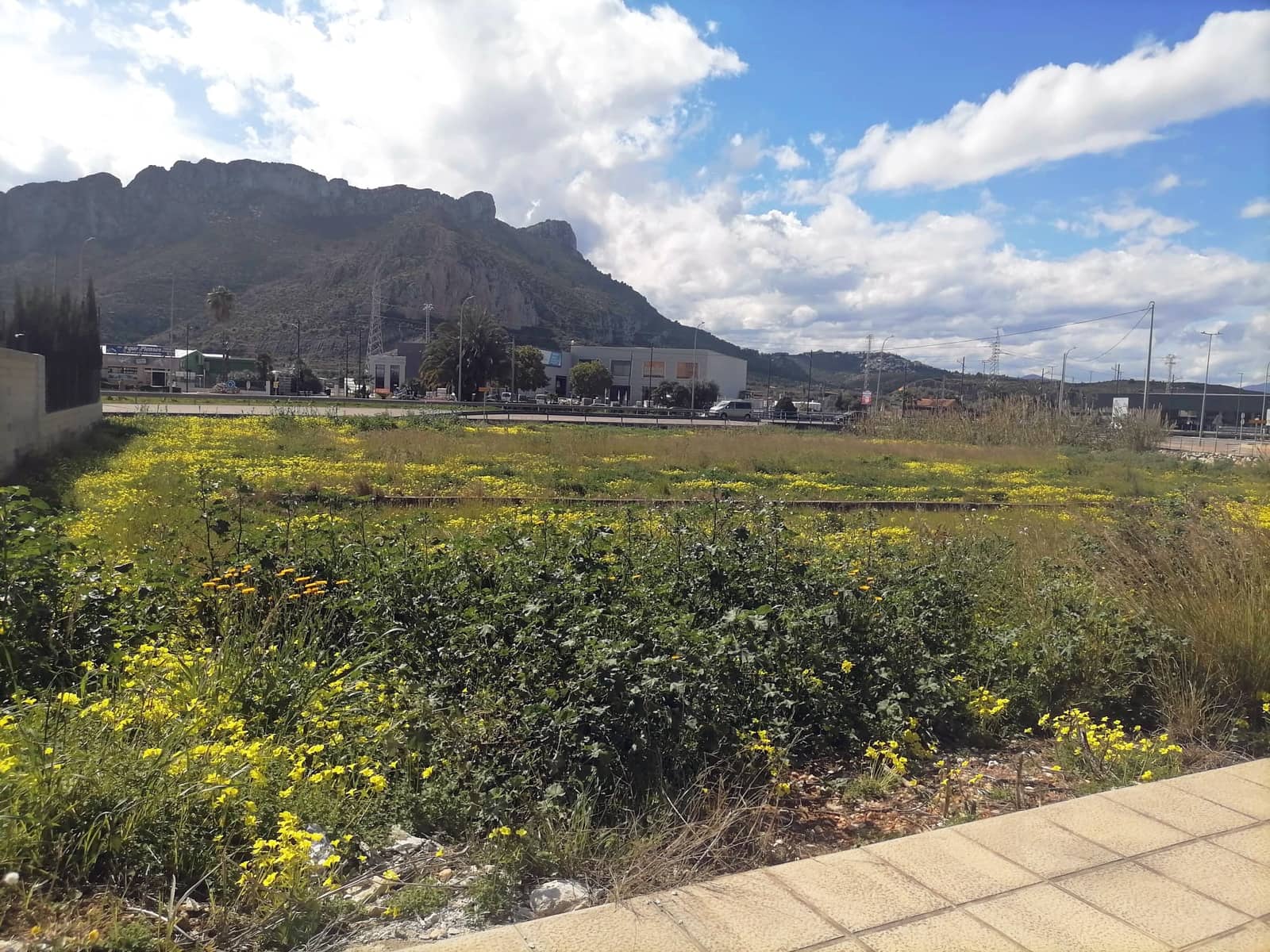 Mark till salu i El Vergel / Verger - 270 000 € (Ref: 8885121)