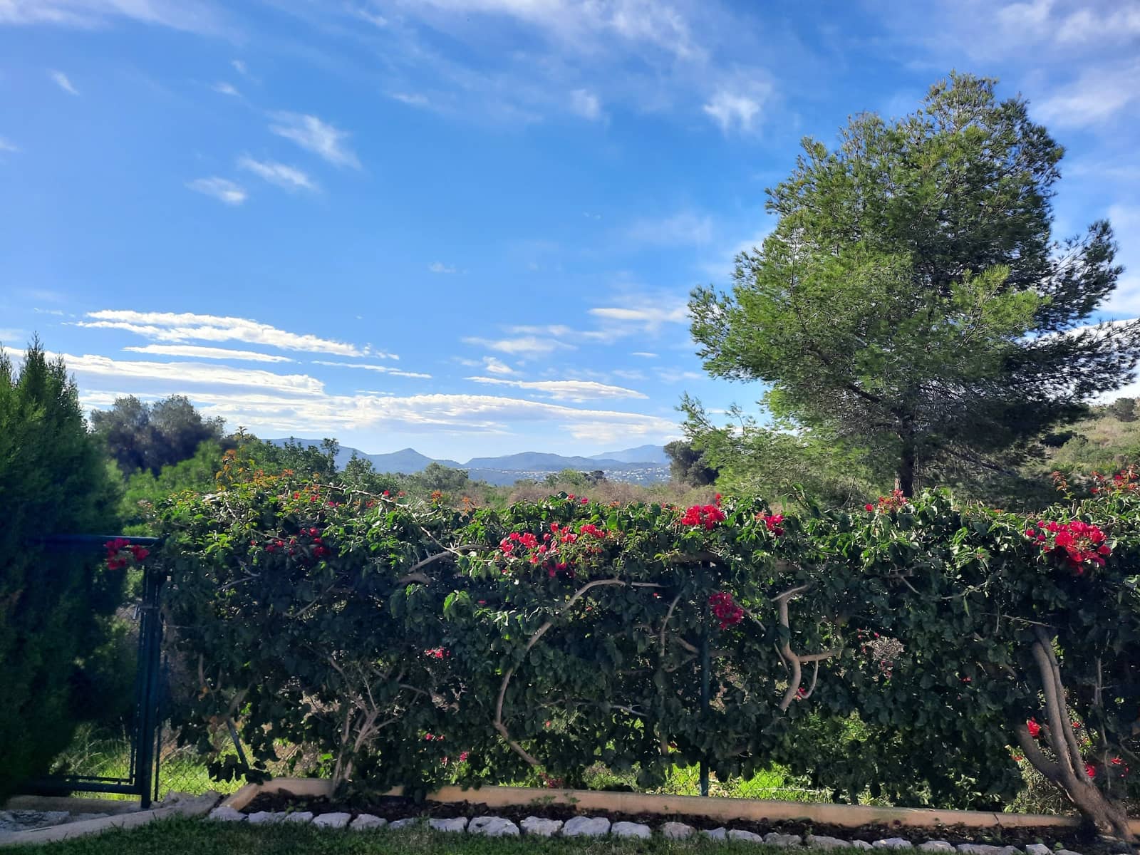 Chalet de 4 habitaciones en Dénia en venta con piscina garaje - 980.000 € (Ref: 9348540)