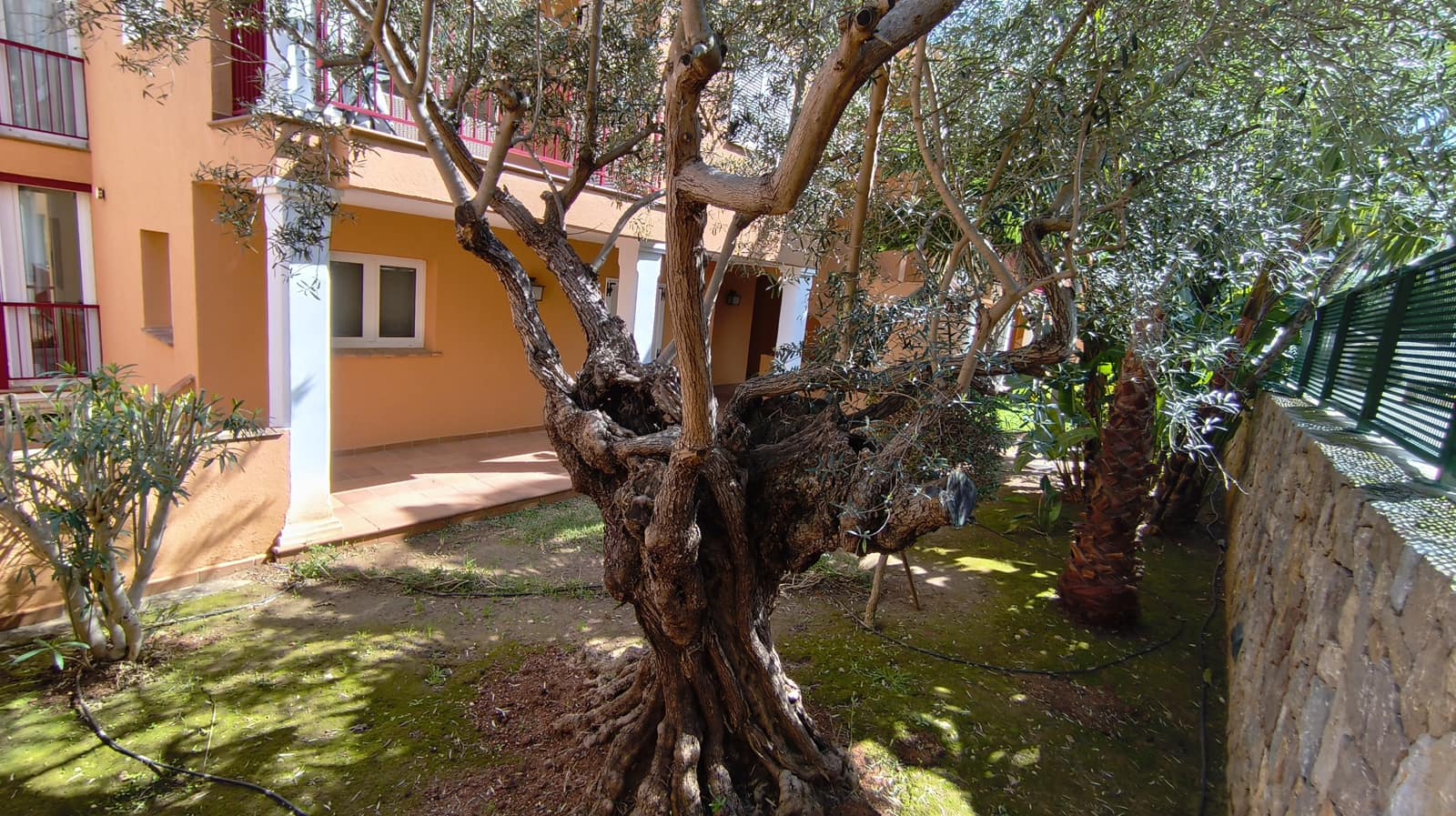 2 slaapkamer Appartement te koop in Denia met zwembad garage - € 349.950 (Ref: 9668314)