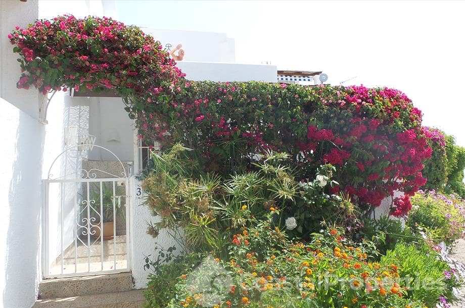 2 bedroom Apartment for holiday rental in Mojacar with pool - € 644 (Ref: 5244500)