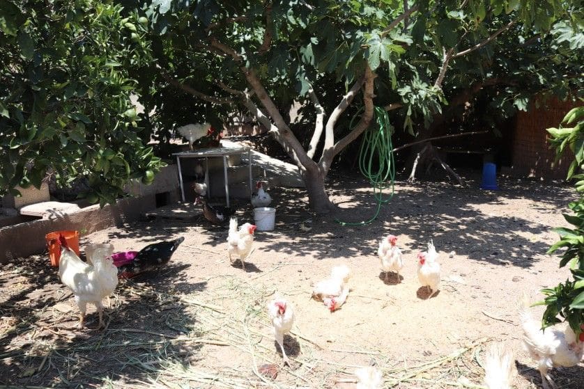 1 soveværelse Finca/Landehus til salg i Polop - € 235.000 (Ref: 8449912)