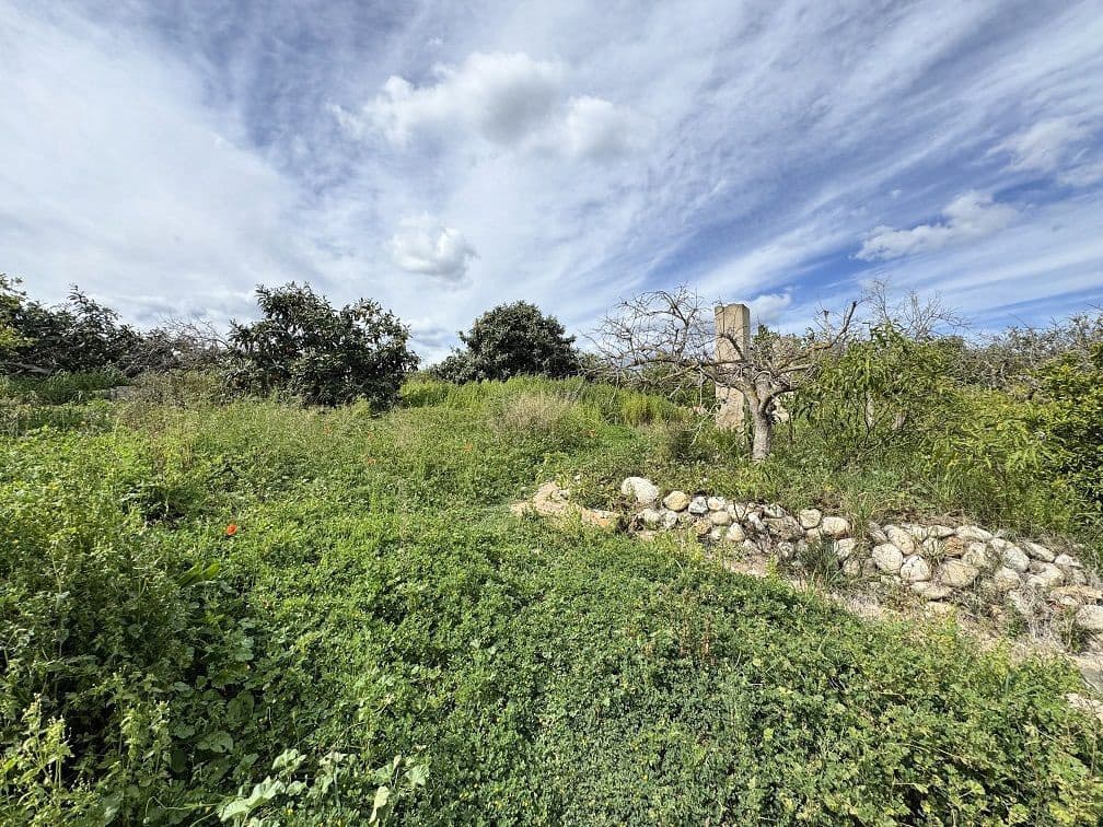 2 soveværelse Finca/Landehus til salg i Callosa d'En Sarria - € 285.000 (Ref: 8881356)