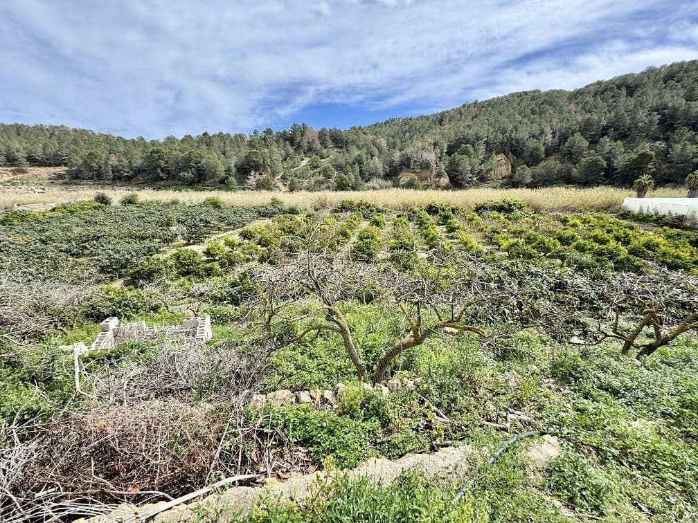 2 soveværelse Finca/Landehus til salg i Callosa d'En Sarria - € 285.000 (Ref: 8881356)