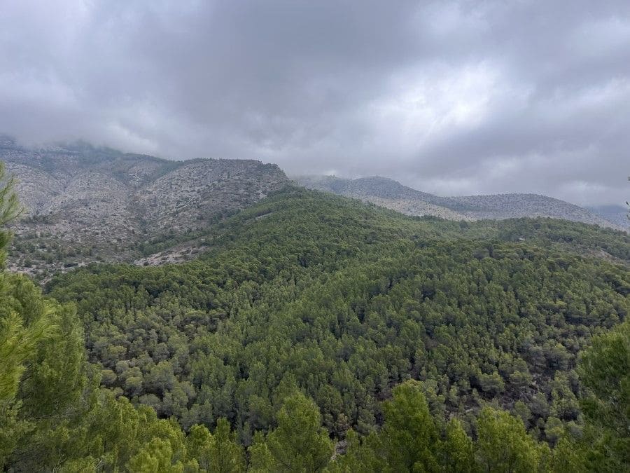 Grond te koop in Altea la Vella - € 149.000 (Ref: 9861556)
