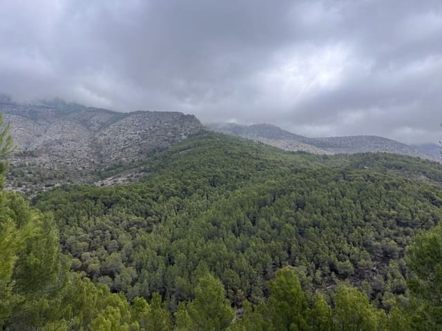 Grond te koop in Altea la Vella, Altea - € 149.000 (Ref: 9861556)
