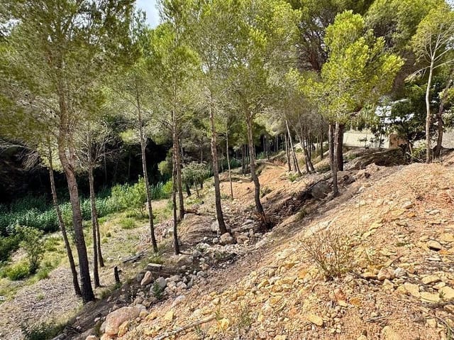 Mark till salu i Altea - 380 000 € (Ref: 9898886)
