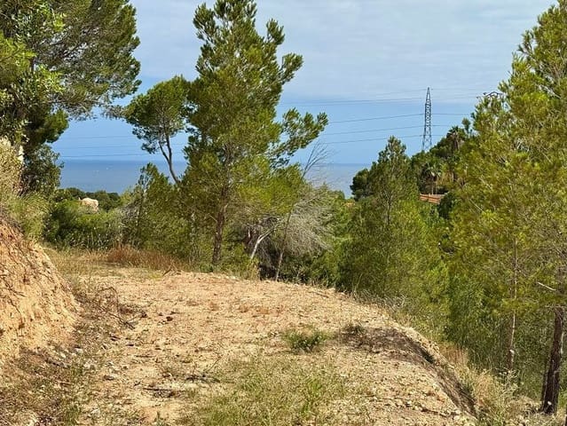 Mark till salu i Altea - 380 000 € (Ref: 9898886)