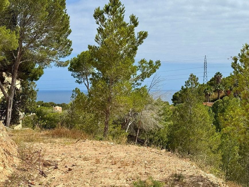 Terreno Não Urbanizado para venda em Altea - 190 000 € (Ref: 9898887)