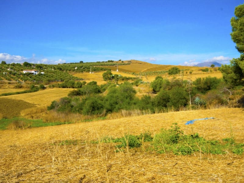 Landgrundstück zu verkaufen in Coin - 45.000 € (Ref: 10129318)