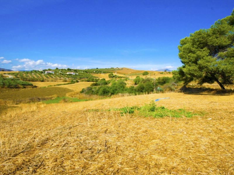 Landgrundstück zu verkaufen in Coin - 45.000 € (Ref: 10129318)