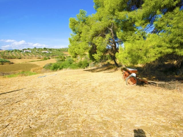 Landgrundstück zu verkaufen in Coín - 45.000 € (Ref: 10129318)