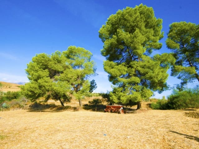 Landgrundstück zu verkaufen in Coín - 45.000 € (Ref: 10129318)
