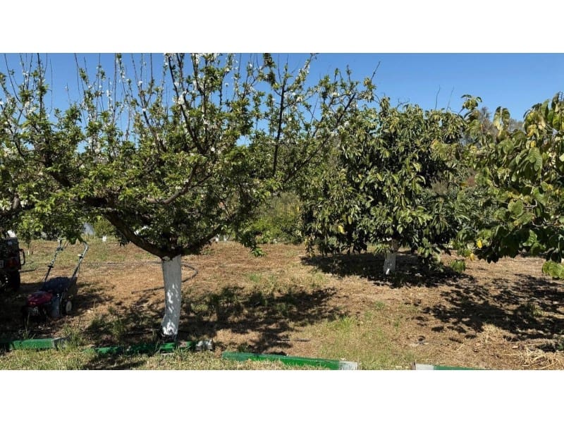 Finca/Casa Rural de 3 habitaciones en Coín en venta con piscina - 395.000 € (Ref: 10161208)