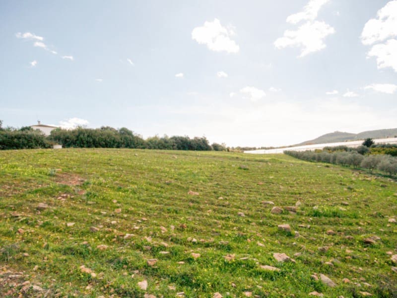 1 Zimmer Finca/Landgut zu verkaufen in Coin - 825.000 € (Ref: 7454646)