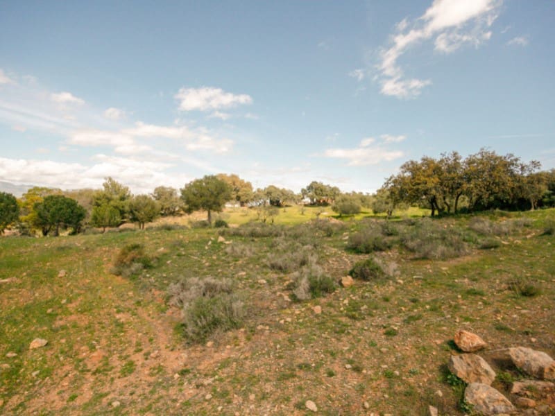 1 Zimmer Finca/Landgut zu verkaufen in Coin - 825.000 € (Ref: 7454646)