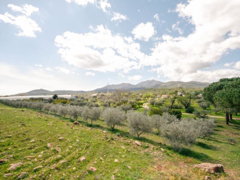 1 Zimmer Finca/Landgut zu verkaufen in Coin - 825.000 € (Ref: 7454646)