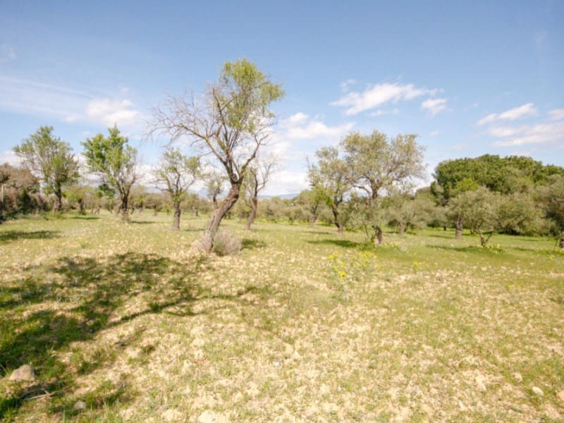 1 Zimmer Finca/Landgut zu verkaufen in Coin - 825.000 € (Ref: 7454646)