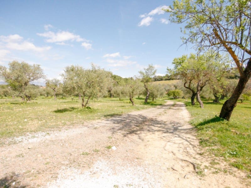 1 Zimmer Finca/Landgut zu verkaufen in Coin - 825.000 € (Ref: 7454646)