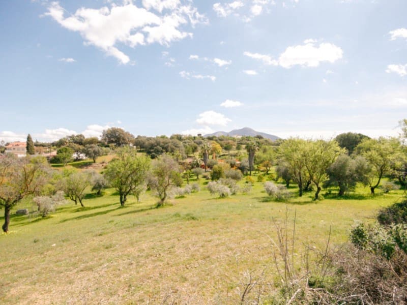 1 Zimmer Finca/Landgut zu verkaufen in Coin - 825.000 € (Ref: 7454646)