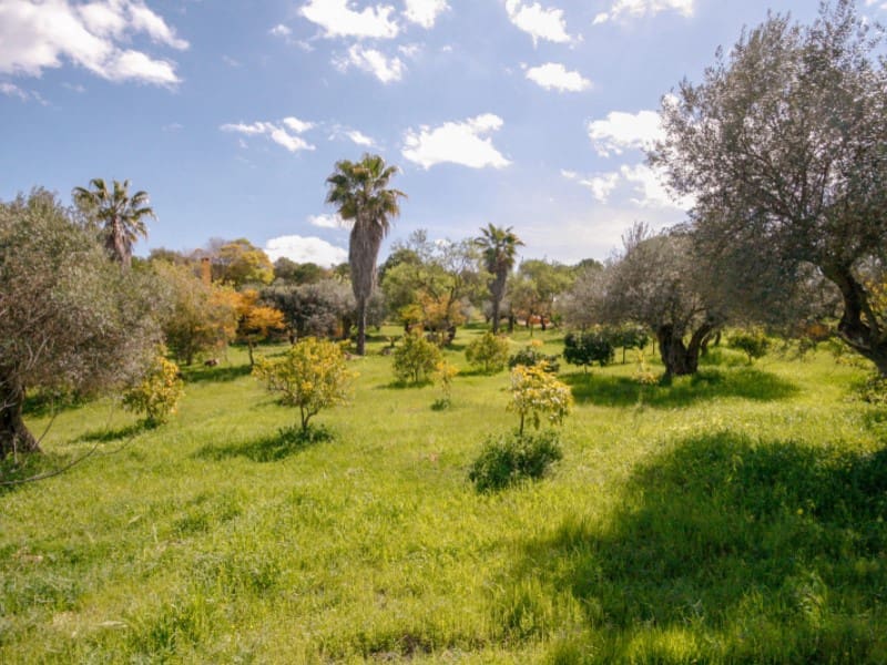 1 Zimmer Finca/Landgut zu verkaufen in Coin - 825.000 € (Ref: 7454646)