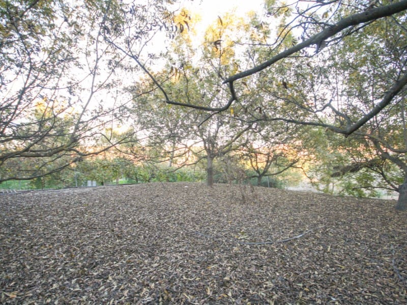 3 soveværelse Finca/Landehus til salg i Coin - € 430.000 (Ref: 8124529)