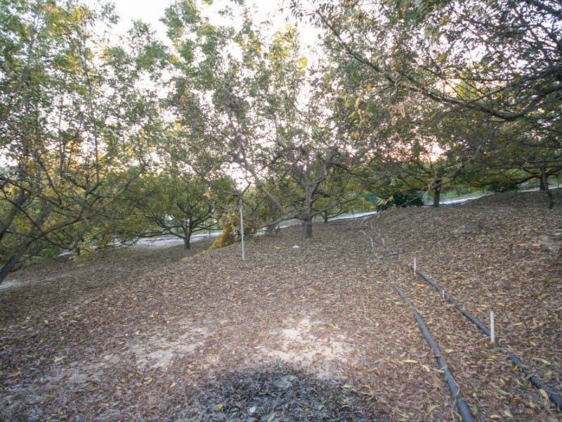 3 soveværelse Finca/Landehus til salg i Coin - € 430.000 (Ref: 8124529)