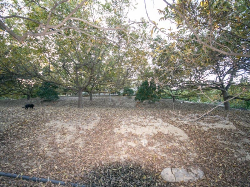 3 soveværelse Finca/Landehus til salg i Coin - € 430.000 (Ref: 8124529)