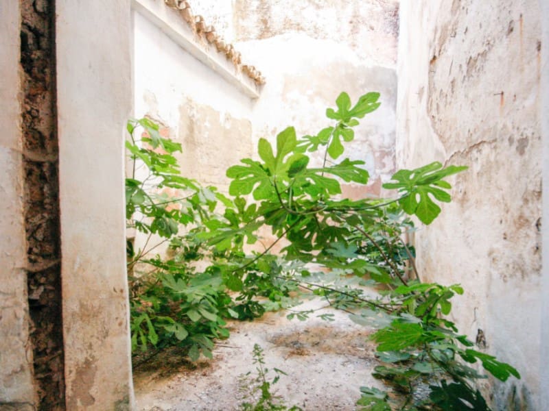 6 soverom Hus til salgs i Coin - € 127 000 (Ref: 8311583)