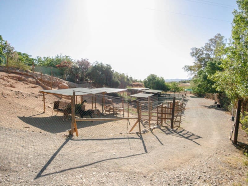 7 sypialnia Finka/Dom wiejski na sprzedaż w Pizarra - 1 800 000 € (Ref: 8455998)