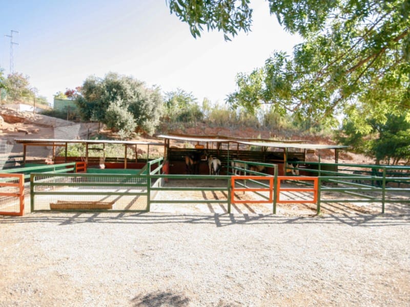 7 sypialnia Finka/Dom wiejski na sprzedaż w Pizarra - 1 800 000 € (Ref: 8455998)