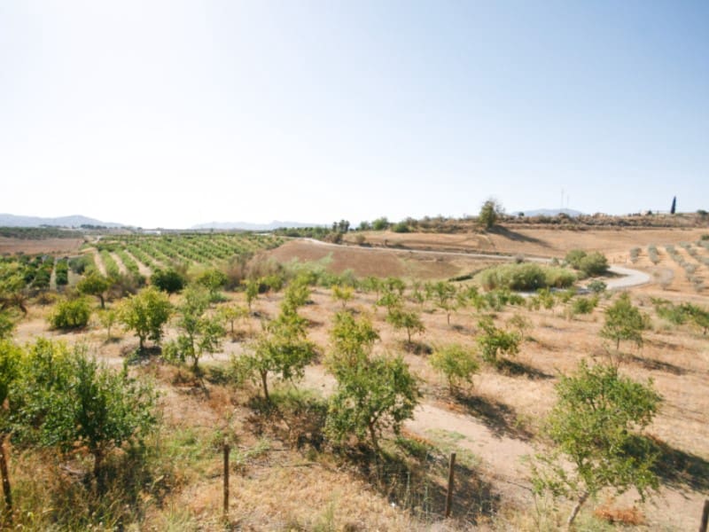 7 sypialnia Finka/Dom wiejski na sprzedaż w Pizarra - 1 800 000 € (Ref: 8455998)