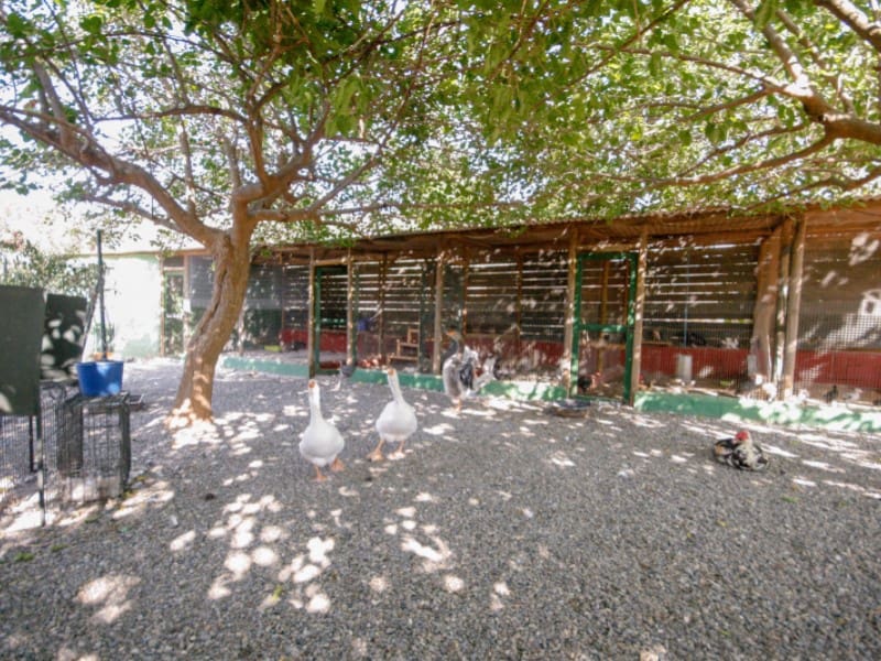 7 sypialnia Finka/Dom wiejski na sprzedaż w Pizarra - 1 800 000 € (Ref: 8455998)