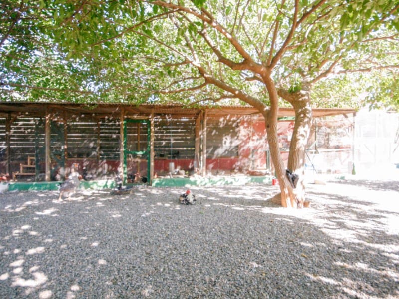 7 sypialnia Finka/Dom wiejski na sprzedaż w Pizarra - 1 800 000 € (Ref: 8455998)