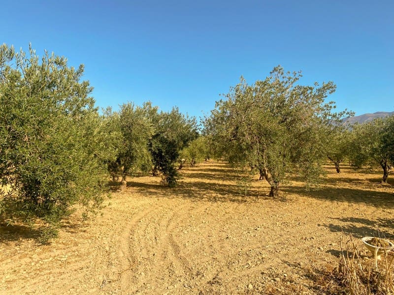 Finca/Landehus til salg i Coin - € 367.500 (Ref: 8665753)