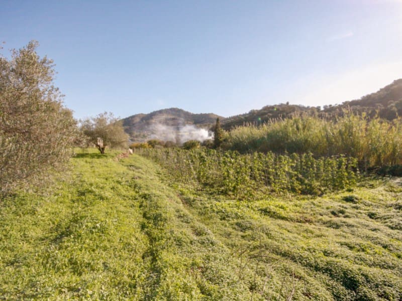 1 bedroom Finca/Country House for sale in Coin - € 89,000 (Ref: 8672174)