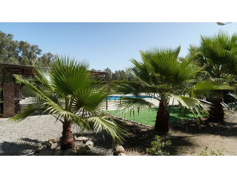 6 Zimmer Finca/Landgut zu verkaufen in Coin - 590.000 € (Ref: 8810227)