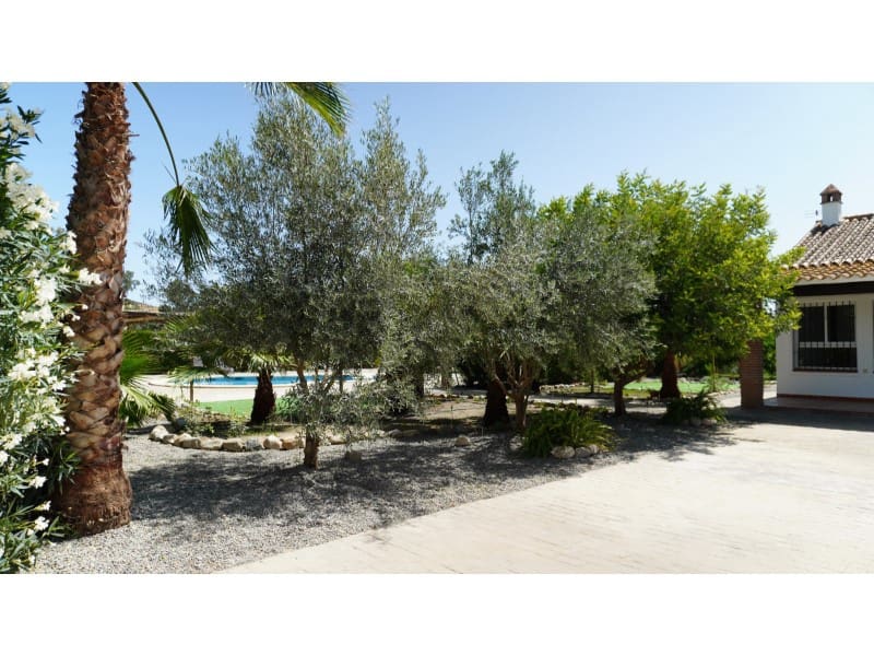 6 Zimmer Finca/Landgut zu verkaufen in Coin - 590.000 € (Ref: 8810227)