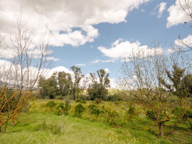 2 soveværelse Finca/Landehus til salg i Coin - € 85.000 (Ref: 8911469)